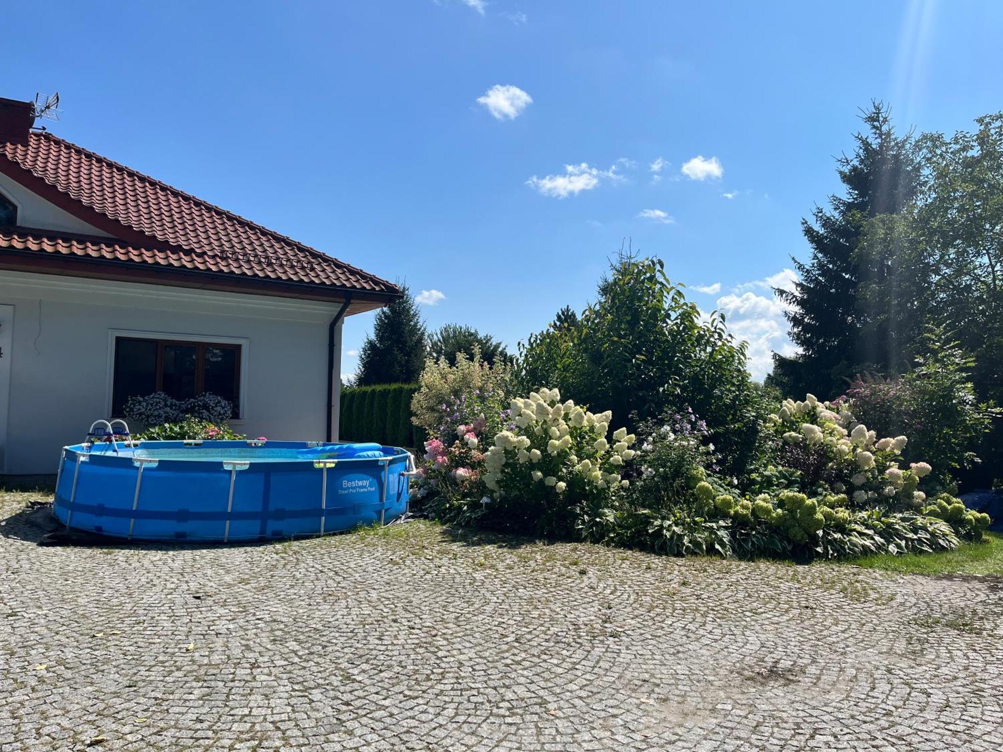 "Wisniowy Sad"Agroturystyka Iława Zewnętrze zdjęcie