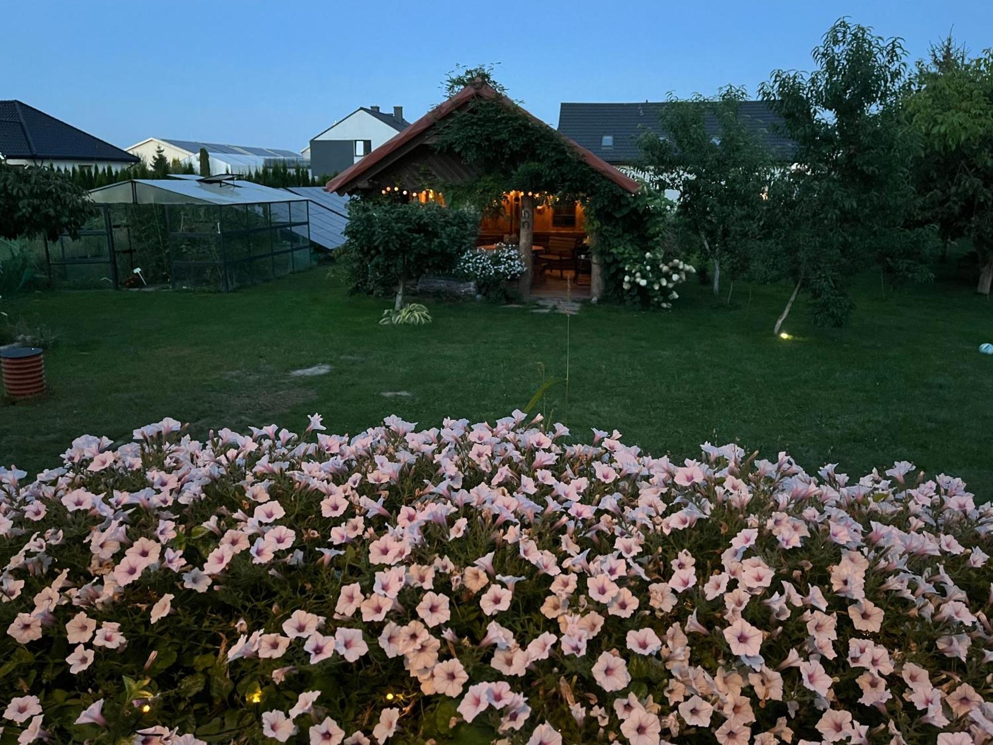 "Wisniowy Sad"Agroturystyka Iława Zewnętrze zdjęcie